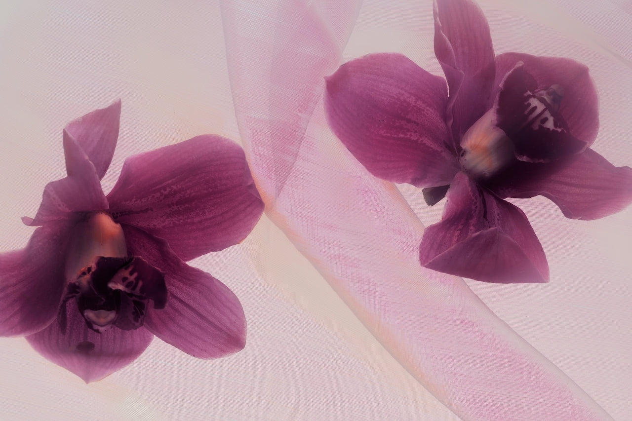 DTS_AURA_Fanette_Guilloud_Photos_ID12974.jpg